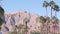 Palm trees and mountains, Palm Springs, California desert valley oasis flora USA