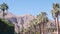 Palm trees and mountains, Palm Springs, California desert valley oasis flora USA