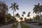 Palm trees in Naples, Florida