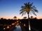 Palm trees by night, hotel or resort