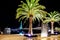 Palm trees in the night lights in Marina Porto Montenegro, Tivat, Montenegro