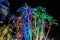 Palm trees at night, vividly lit with colored lights