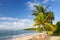 Palm trees, ocean and blue sky on a tropical beach