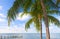 Palm trees, ocean and blue sky on a tropical beach in Florida keys