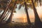 Palm trees, ocean. Sunset landscape, Bali.