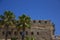 Palm trees in the Old City of Acre Akko