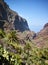 Palm trees and opuntia on Teno massif slopes, Tenerife, Spain