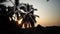 Palm trees and orange sunset above ocean