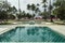 Palm trees over the pool