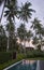 Palm trees over the pool at sunset. Indonesia. Bali