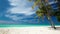 Palm trees over tropical lagoon with white beach