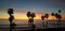 Palm Trees on the Pacific Ocean at Sunset