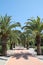 Palm trees in Paloma Park, Benalmadena Costa