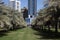 Palm Trees Park in Sharjah City