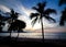 Palm trees on Patong beach during sunset.