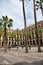 Palm Trees in Placa Reial, Barcelona, Spain