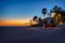 Palm trees on Playa de las Arenas beach at sunrise, Valencia. Spain