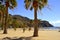 Palm trees on Playa De Las Teresitas beach