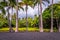 Palm trees at Punaluu Black Sand Beach on Big Island, Hawaii