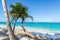 Palm trees Punta Cana Bavaro beach Dominican Republic