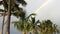 Palm Trees and a Rainbow in Hawaii