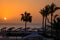 Palm trees by the Red Sea at sunrise, Egypt