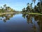 Palm trees reflect into Center Lake at Fairchildl Tropical Gardens in Miami