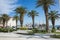 Palm trees at riviera and blue sky in Split Croatia Europe