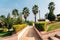 Palm trees road at Rajiv Gandhi Park in Udaipur, India