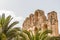 Palm trees and the Roman Amphitheatre of El Djem, Tunisia, Africa