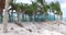 Palm trees on the sandy beach,Bermuda islands,North Atlantic ocean