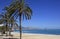 Palm Trees sandy Beach and Mediterranean Sea and town of Altea Spain