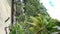 Palm Trees On Sandy Ocean Beach With Turquoise Water In Kaimana Island. Vertical Video Of Beautiful Nature With Picturesque View