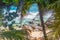 Palm trees by the sea in Petite Police beach