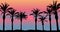 Palm trees and sea and sunset, beach silhouette. Beautiful scenery