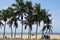 Palm trees at the seaside of Lome in Togo