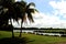 Palm trees on the shore of the pond on a cloudy day. Varadero, Cuba