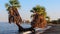 Palm trees on shores of Lake Turkana, Kenya