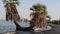 Palm trees on shores of Lake Turkana, Kenya