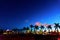 Palm trees silhouettes on a clear night in Miami