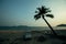 Palm trees silhouettes on a tropical beach in the amazing twilight. Nature.