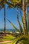 Palm trees and a small cross on a beach