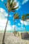 Palm trees in Sombrero Beach at dawn