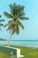 Palm trees stand tall decorating the beach in eye level view