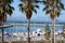 Palm trees standing majesty,overlooking the bay with its yachts background Mossel bay,South Africa.