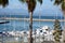 Palm trees standing majesty,overlooking the bay with its yachts background Mossel bay,South Africa.