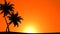Palm Trees with Sun (Animated HD Background)