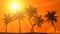 Palm Trees with Sun (Animated HD Background)