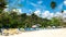 Palm trees and sun beds under pastel colored umbrella on caribbean beach