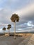 Palm Trees in the Sun over Saint Augustine, Florida